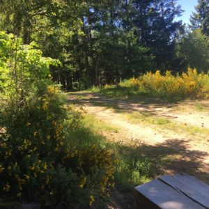 Randonnée en forêt du Beaujolais Vert