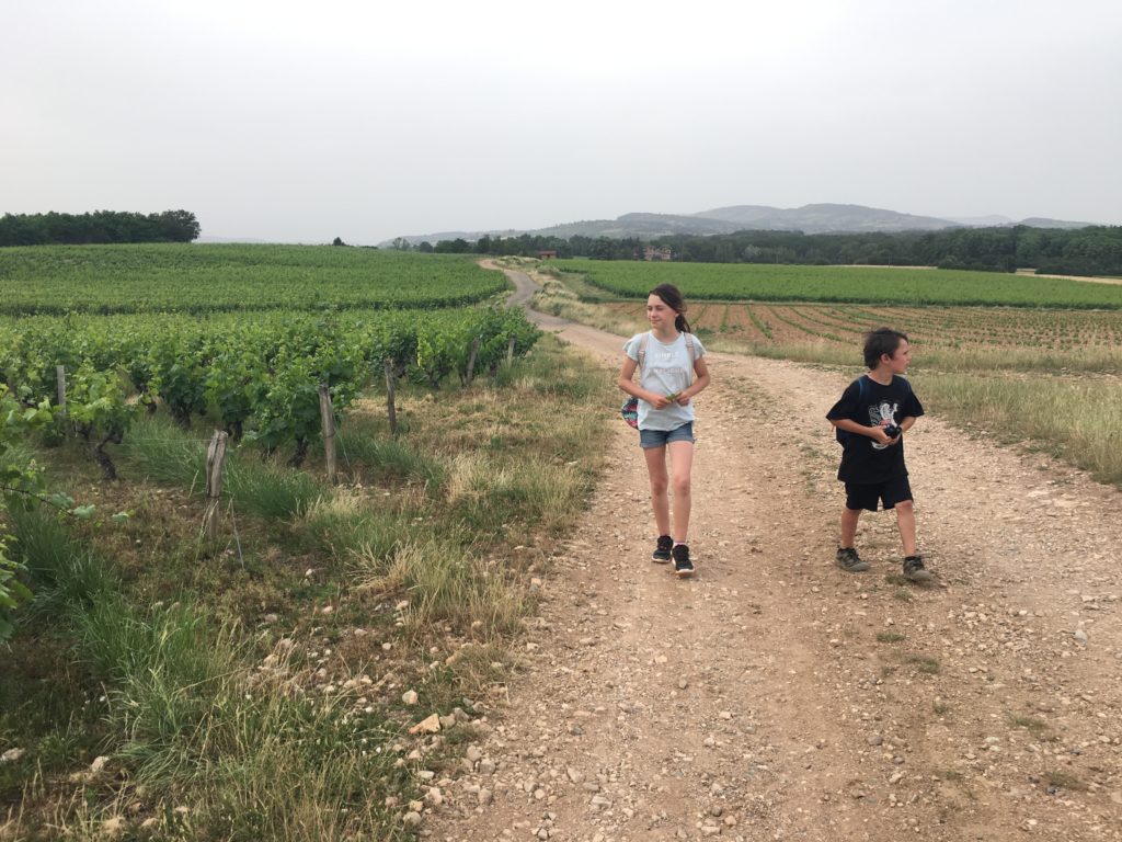 Sentiers viticoles en famille