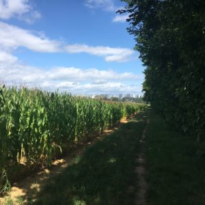 Sortie scolaire "Feyzin"