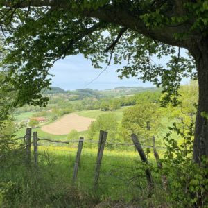 Randonnée depuis St Martin-en-Haut (Roche Mathiole)