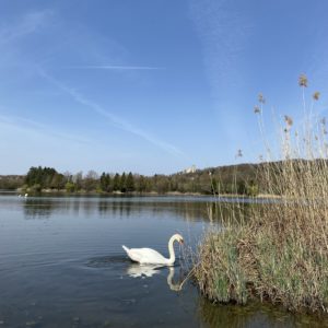 Randonnée depuis St Quentin-Fallavier