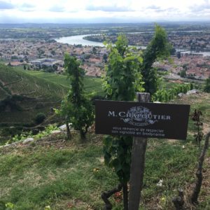 Randonnée depuis Tain-L'Hermitage-Tournon
