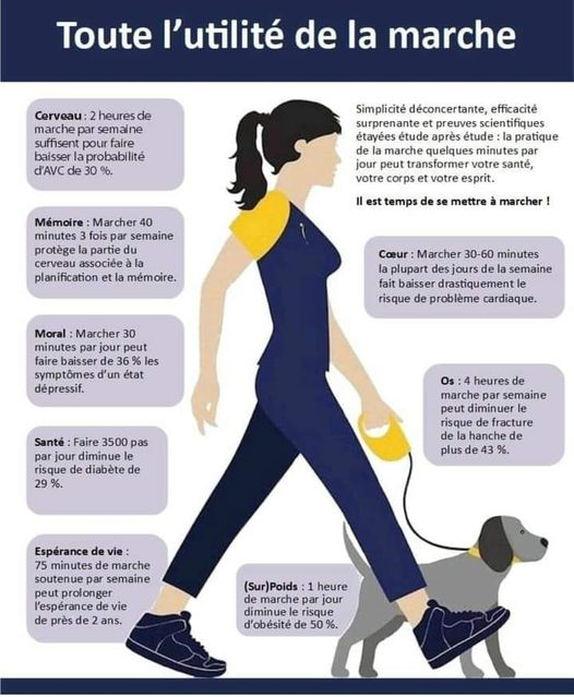 Les bienfaits de la marche à pied : huit raisons de la pratiquer