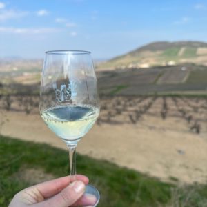 Apéritif vigneron devant le Mont Brouilly