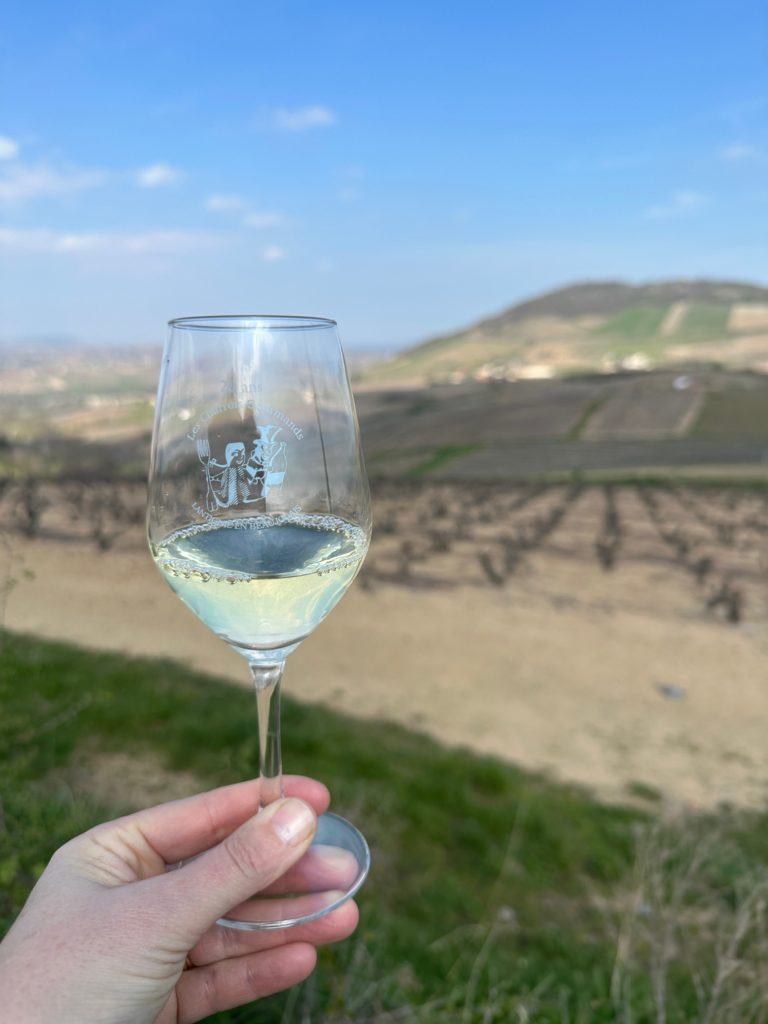 Apéritif vigneron devant le Mont Brouilly