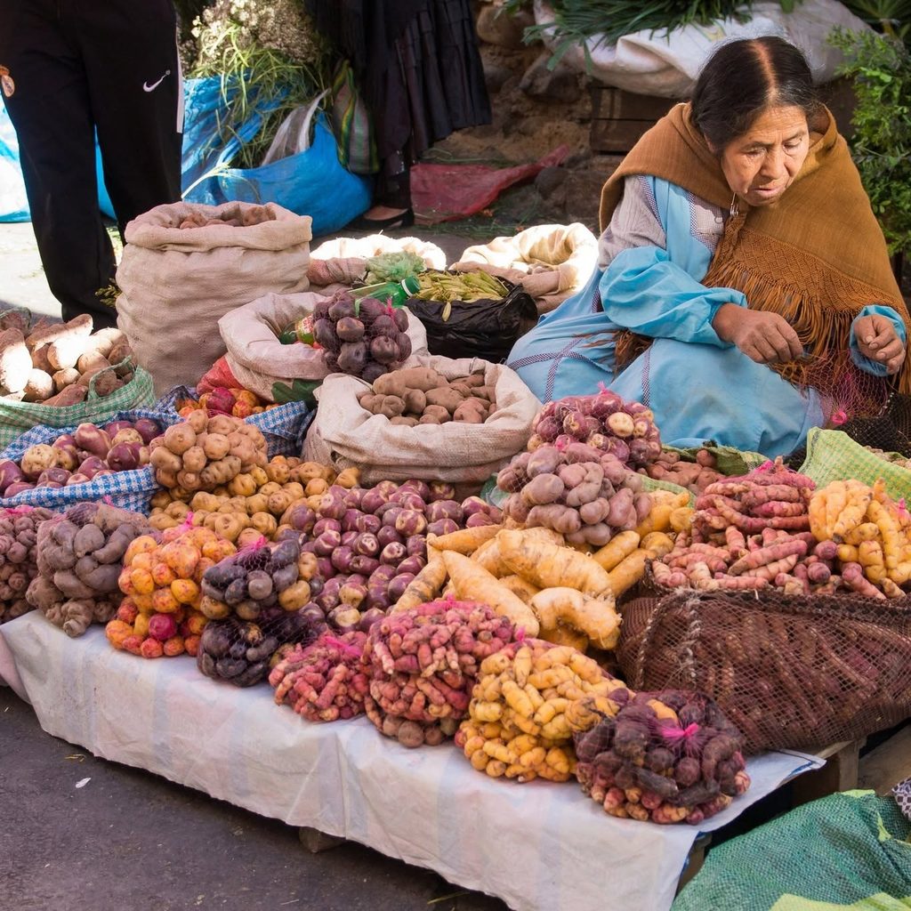 Voyage de groupe sur mesure gastronomie avec Mes pieds sur Terre